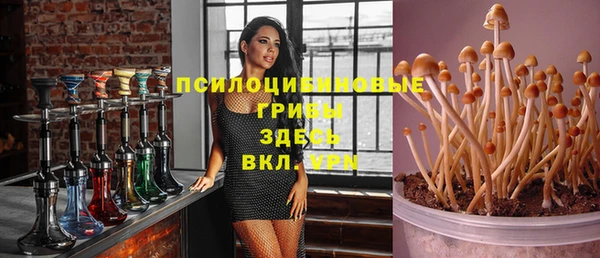 гашиш Богородицк