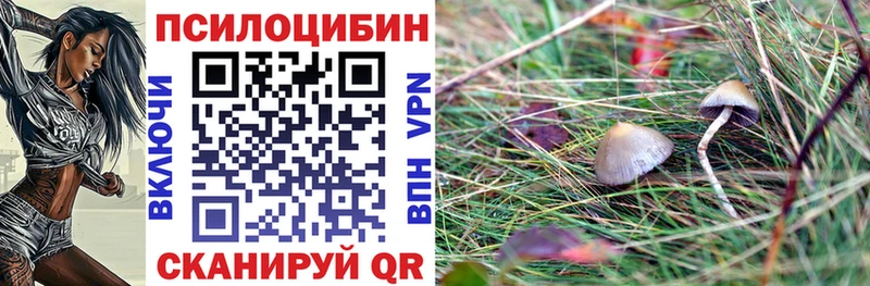 Псилоцибиновые грибы ЛСД  Спасск-Рязанский 